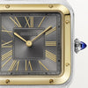 Cartier watch | Men&#39;s Watch 32mm Cartier Santos-Dumont Large Gold 2 Tones